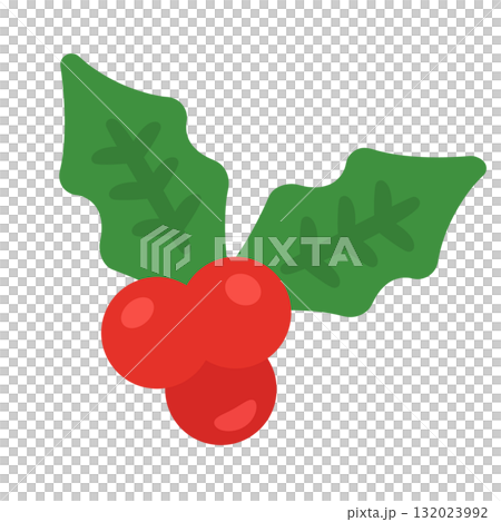 クリスマスホーリー　イラスト 132023992