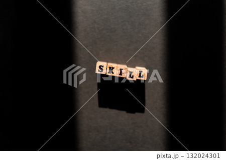 「SKILL」の順に並べたブロック 132024301