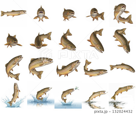 イワナのイラストポーズ集 - 様々な角度と捕食姿 イワナのイラストポーズ集 - 様々な角度と捕食姿 132024432