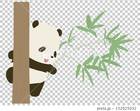 微笑的熊貓爬上竹樹 132025032