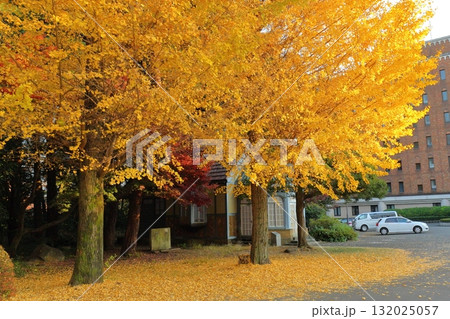 一橋大学　国立市 132025057