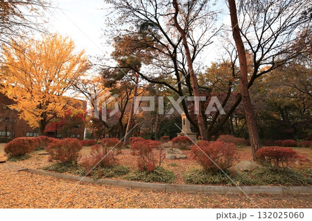 一橋大学　国立市 132025060