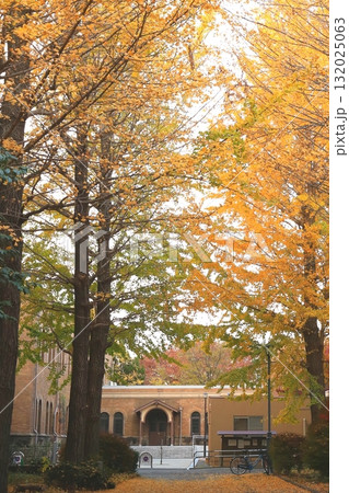 一橋大学　国立市 132025063