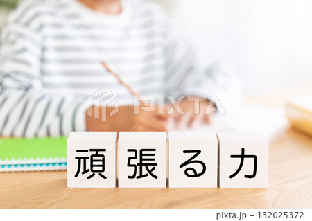 頑張る力のブロックと勉強をする小学生の男の子 頑張る力のブロックと勉強をする小学生の男の子 132025372