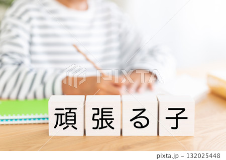 頑張る子のブロックと勉強をする小学生の男の子 頑張る子のブロックと勉強をする小学生の男の子 132025448
