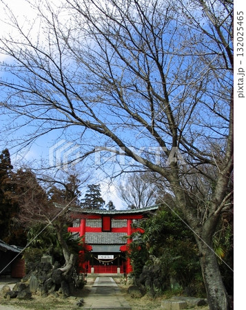 岩松八幡宮(2012.3.26) タテ位置で鳥居に近付きます 参道を大樹が包みます 132025465