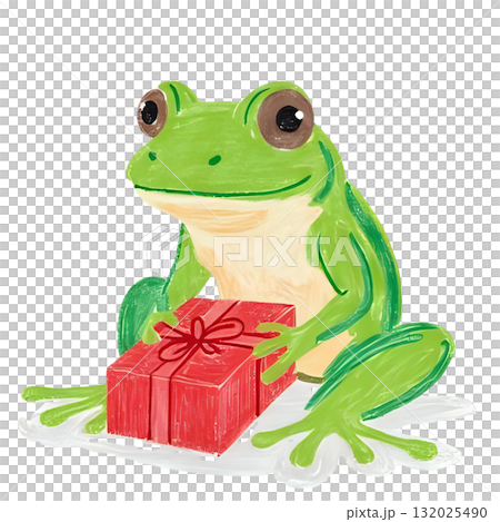 青蛙拿著聖誕禮物 132025490