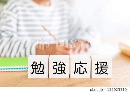 勉強応援のブロックと勉強をする小学生の男の子 132025519