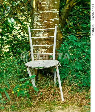 Old Wooden Chair by Tree 132025641
