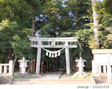 間々田八幡宮 二の鳥居 間々田八幡宮 二の鳥居 132025728