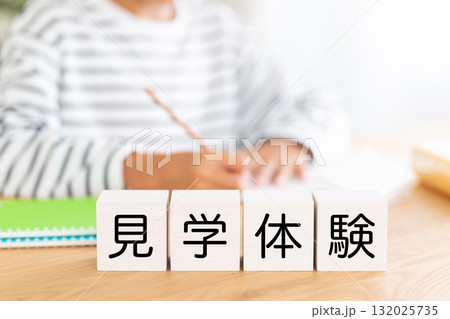 見学体験のブロックと勉強をする小学生の男の子 132025735