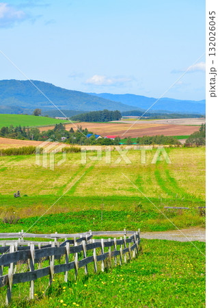 夏　美瑛町 132026045