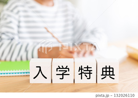 入学特典のブロックと勉強をする小学生の男の子 入学特典のブロックと勉強をする小学生の男の子 132026110