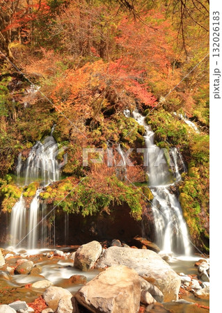 山梨県北杜市の吐竜の滝 132026183