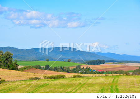 夏　美瑛町 132026188