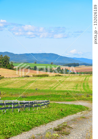 夏　美瑛町 132026189