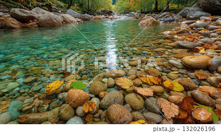 Clear river water with colorful stones and autumn leaves 132026196