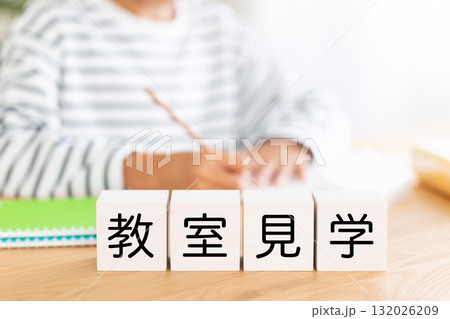 教室見学のブロックと勉強をする小学生の男の子 132026209