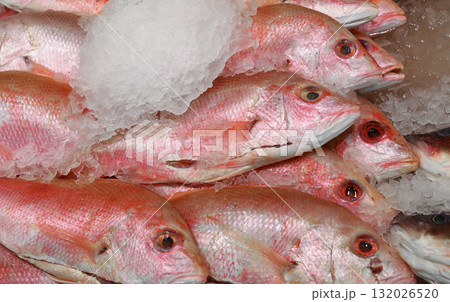 Fresh red snappers lying on ice at fish market 132026520
