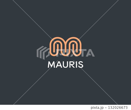 Abstract letter M linear logo. Beauty salon jewelry boutique premium logotype. Luxury vector monogram. 132026673
