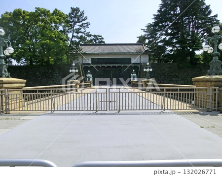 皇居正門の儀仗勤務と儀仗交代（東京都千代田区） 132026771