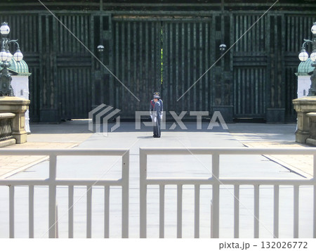 皇居正門の儀仗勤務と儀仗交代（東京都千代田区） 132026772