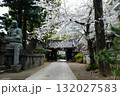 春を迎えたばかりの品川寺 132027583