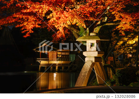 金沢・兼六園の夜を彩る徽軫灯籠と内橋亭、紅葉が美しく照らされた幻想的なライトアップ景観 金沢・兼六園の夜を彩る徽軫灯籠と内橋亭、紅葉が美しく照らされた幻想的なライトアップ景観 132028086