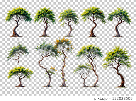 Collection of stylized tropical/semi-arid trees with gracefully curved trunks and green foliage, ideal for unique landscape designs. Collection of stylized tropical/semi-arid trees with gracefully curved trunks and green foliage, ideal for unique landscape designs. 132028509