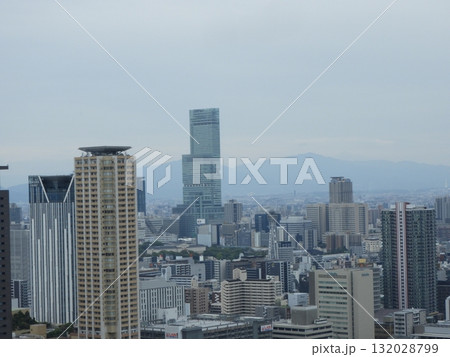 あべのハルカスと大阪市街の高層ビル群 132028799
