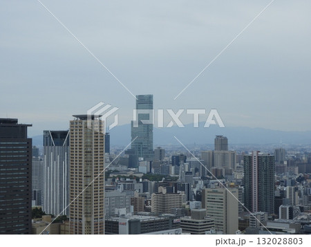 あべのハルカスと大阪市街の高層ビル群 132028803