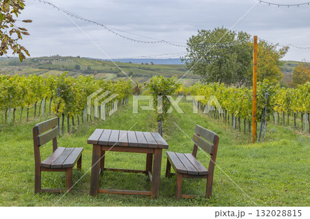 Wooden table, benches inviting to relax in vineyard Wooden table, benches inviting to relax in vineyard 132028815