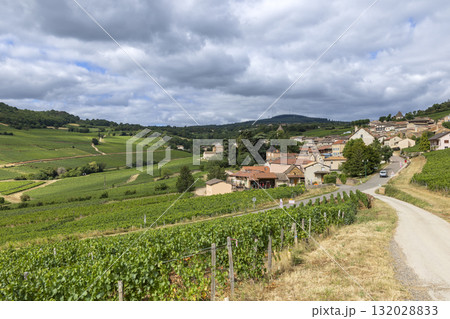 French village and green vineyards under cloudy sky in Burgundy 132028833