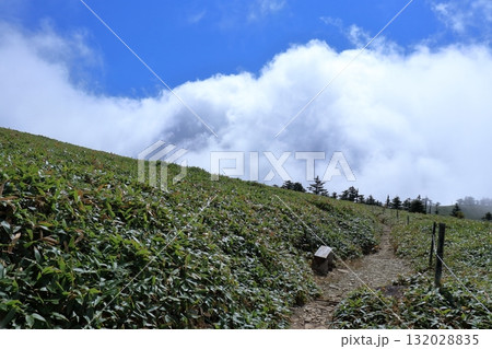秋の瓶ヶ森を歩く　（四国　愛媛県） 132028835