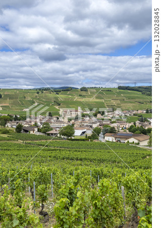Fuisse village nestled among Bourgogne vineyards 132028845