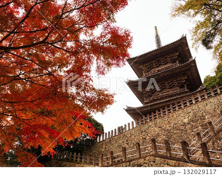 清水寺の三重塔と紅葉 清水寺の三重塔と紅葉 132029117