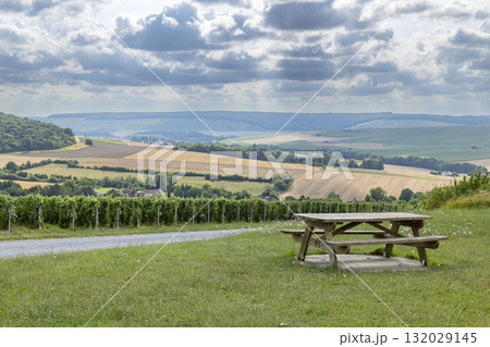 Vineyard view from picnic bench in Grand Est, France 132029145