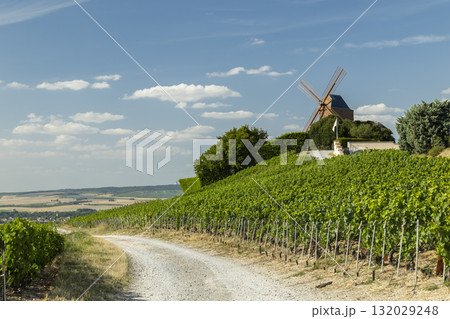 Moulin de Verzenay windmill overlooking vineyards in summertime France 132029248