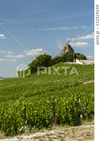 Le Moulin de Verzenay overseeing Champagne vineyards in France 132029249