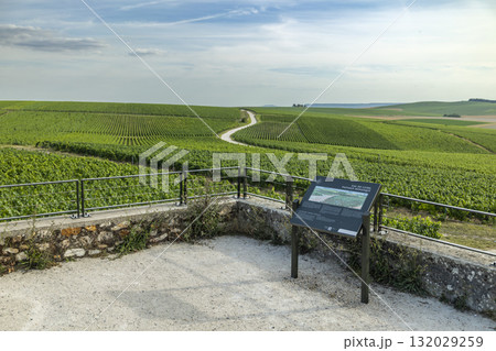 Val de Livre vineyard landscape showcasing Champagne region viticulture Val de Livre vineyard landscape showcasing Champagne region viticulture 132029259