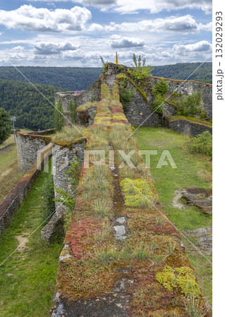 Herbeumont castle ruins wall with vegetation Herbeumont castle ruins wall with vegetation 132029293