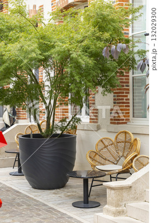 Outdoor patio with potted tree and rattan chairs in Epernay 132029300