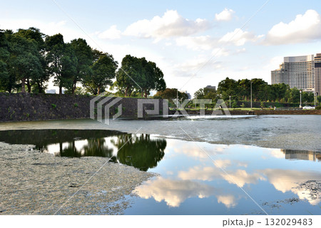 外堀に映り込む日比谷イチョウ並木と青空 132029483