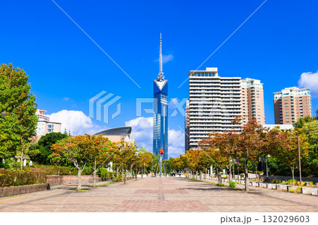 福岡シーサイドエリアのシンボル 福岡タワー 福岡シーサイドエリアのシンボル 福岡タワー 132029603