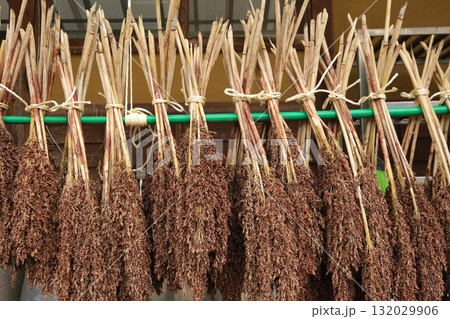 干されたタカキビ 132029906