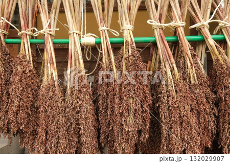 干されたタカキビ 干されたタカキビ 132029907