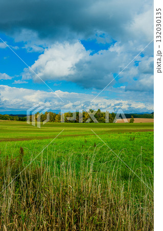 光と影の丘 ― 北海道美瑛 光と影の丘 ― 北海道美瑛 132030135