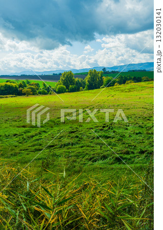 光と影の丘 ― 北海道美瑛 光と影の丘 ― 北海道美瑛 132030141