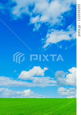 光と影の丘 ― 北海道美瑛 132030205