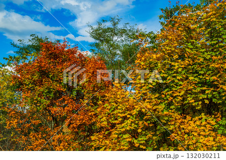 光と影の丘 ― 北海道美瑛 132030211